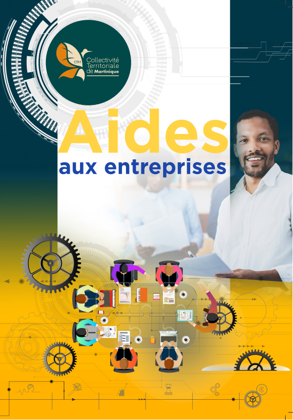 Présentation Du Nouveau Dispositifs Des Aides Aux Entreprises ...