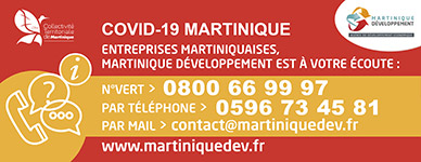 Coronavirus Martinique Developpement Mobilisee Et Disponible Martinique Developpement